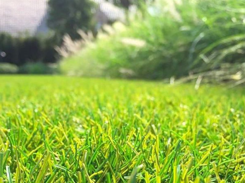 Tuinonderhoud 2